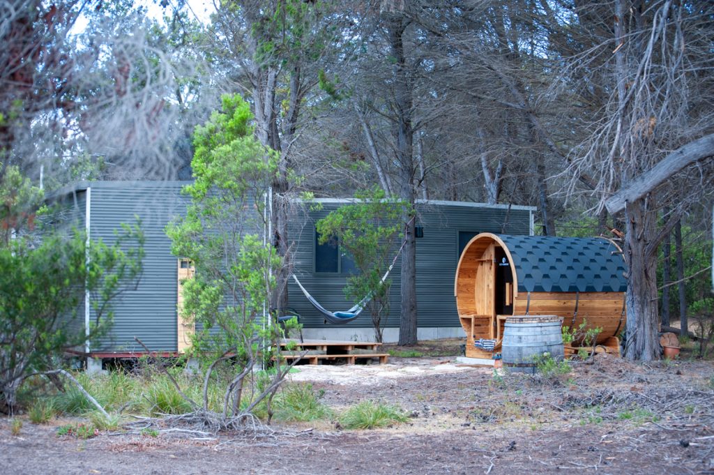 Cabin in the pine forest