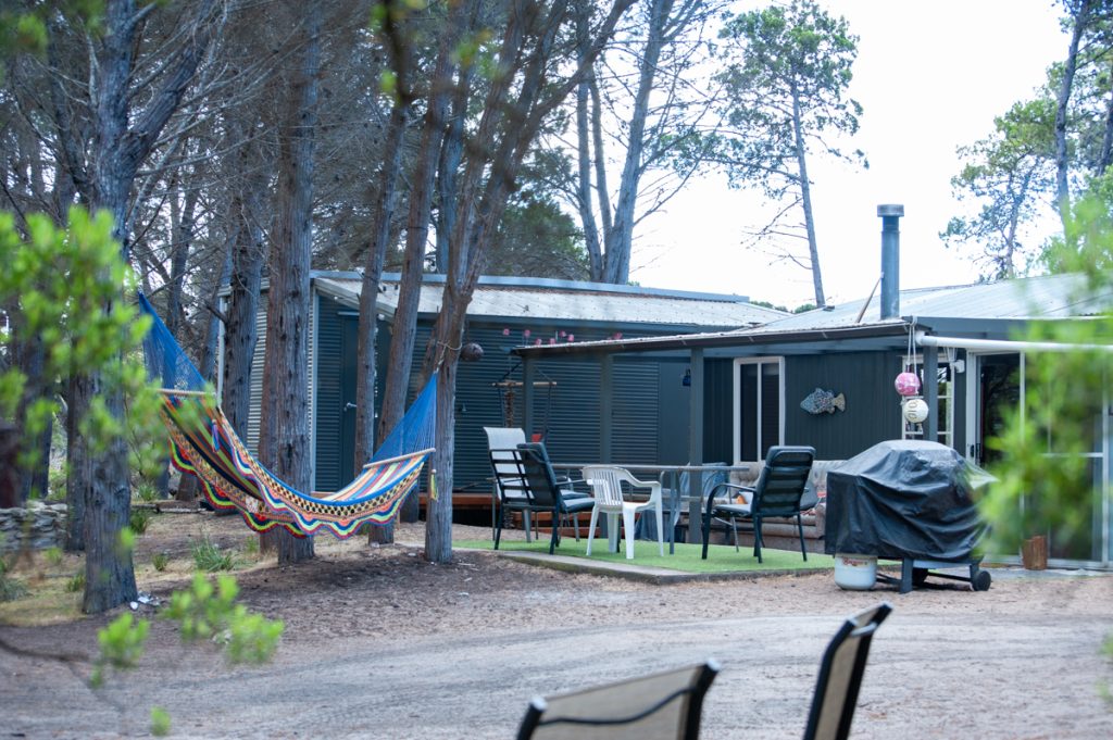 Airbnb cabin in a native pine forest.